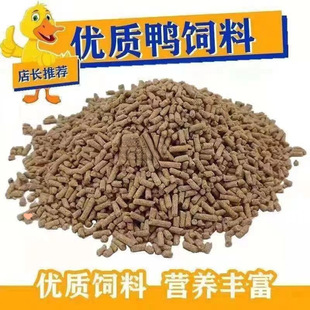���|�����ӌ��ô��w������ϴ�ͨ�îa���u���Ӵ��ZС�u��~���
