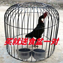 ���u�\�Ӷ��u�ֻ\�Ӵ�̖���u�����ִ�̖���u�\��һ�����S�S��ֱ�N