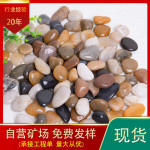 高抛光五彩石雨花石厂家批发彩色铺路小石子彩色园林天然鹅卵石