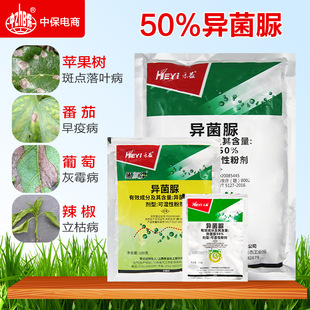 ���� 50%������ ��ù�����߲����ݲ����c���~���ڰ߲��rș������