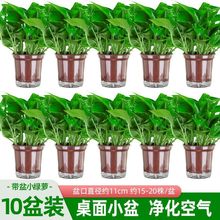 ~G}҃ȿ͏dȩ՚ֲGֲkҾGjl