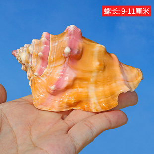 ��Ȼ����ؐ����֬��õ�����~���쾰�b����˶Y���ղع�ˇƷ�[��