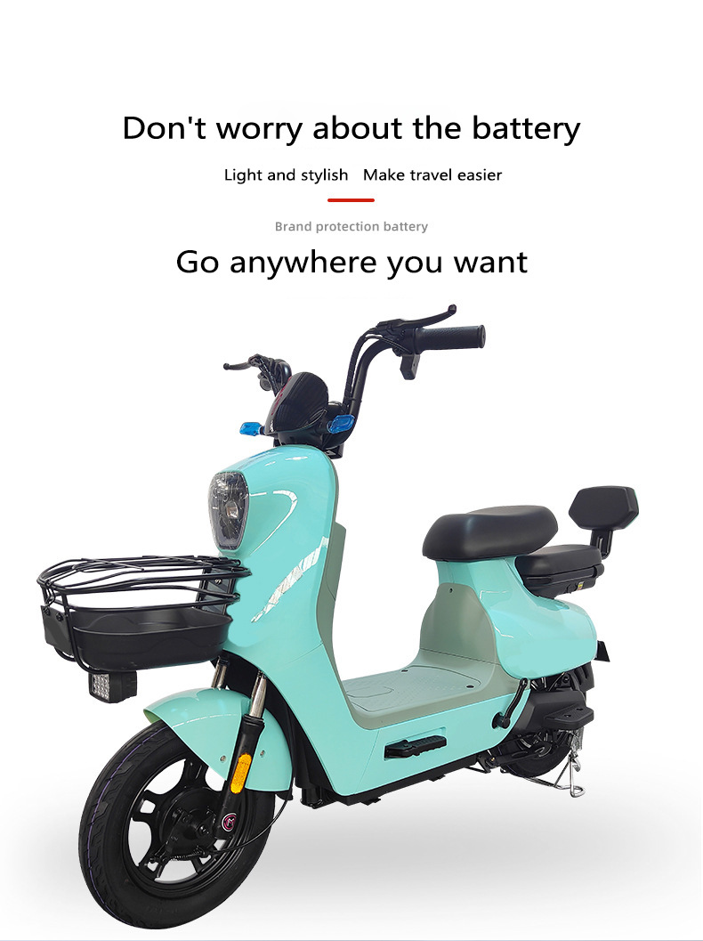 Compact Electric Bicycle Custom Commuter