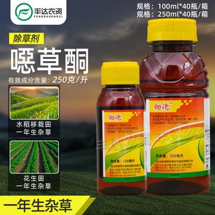 �G���z��250��/������ͪ����ˮ�������ﻨ����һ�����s��