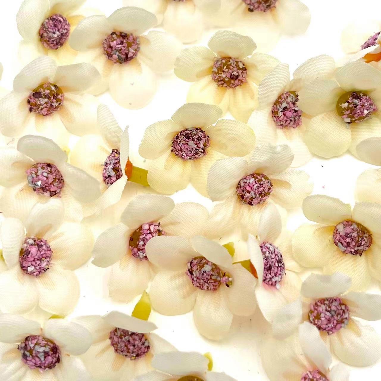 微信图片_20250227194512