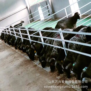 ������S�� ��©�S�� ��ɽ����Ȧ���O ������ĥ��S��