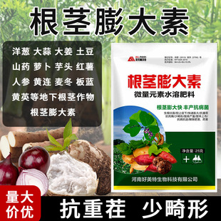 �������L���o���������ɏź���������^�t���}��������󄩴�����