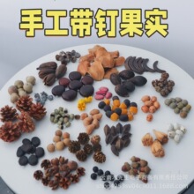 带钉果实】带羊角钉橡果松果豆荚diy材料干花项链果子手工配件