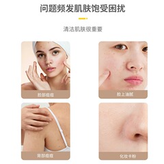 Guangzhou Baiyunshan sulfur mite removal liquid soap hotel household full body bath oil control mite removal soap manufacturer wholesale