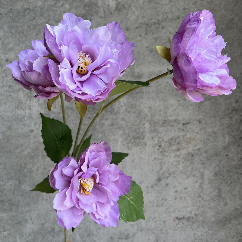 4 머리의 스마트 모란 - 연한 보라색