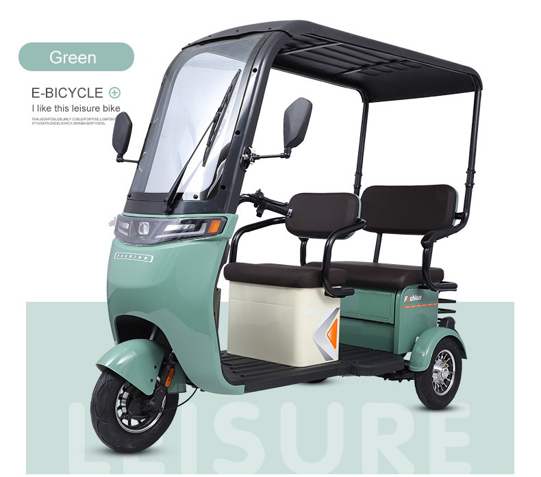 Home Electric Tricycle 800W