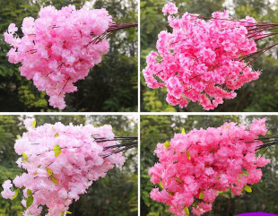 �ѻ�֦�ѻ������ϻ�c�b��һ��滨�҃ȿ͏d��ص�피ٻ��ٗl