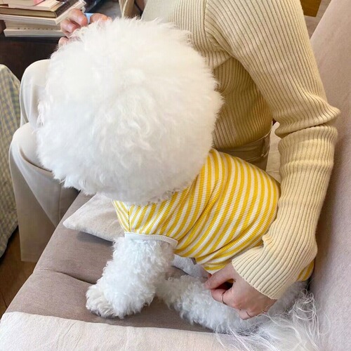 Simple striped puppy knitted vest Teddy Bichon small and medium-sized dogs and cats biped pet clothes