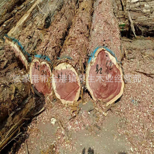 �t�İ�ԭľ �t�İذ�� �t�İ�ľ ѩ�� ��춌�ľ�Ҿߵ�̹�ˇƷ