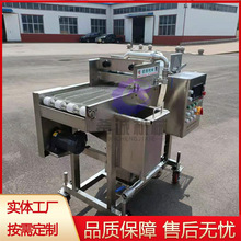 全自动带鱼段挂浆裹面包糠 竹夹鱼上浆机 连续式巧克力裹浆机设备