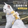 牵引绳猫咪猫绳