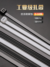 һ�������������������ۏ�����������������������������������ɫ