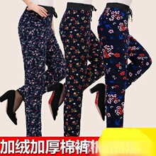 2025秋冬爆款中老年女裤加肥加大高腰系绳银狐绒棉裤地摊热卖货源