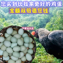 ɢ�B�G�����u�����r�r��Ұ�������ЋD���Gɫ�u���ЙC�x��50ö