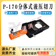 ʩ߷wʽҺеP-170|WzྀQ|Q