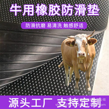 �S���R��|������ĥ�A�c�����|�iţ�R�P17mm�͸��g����̤���z�|