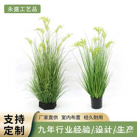 仿真水稻谷穗绿植盆栽仿真洋葱草绿植盆景道具场景布置仿真草摆件