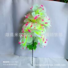 7ͷ��֦��õ�� ��֦ �ѻ� ��ŵ������Ʒ ���� �������Ϸػ� ����