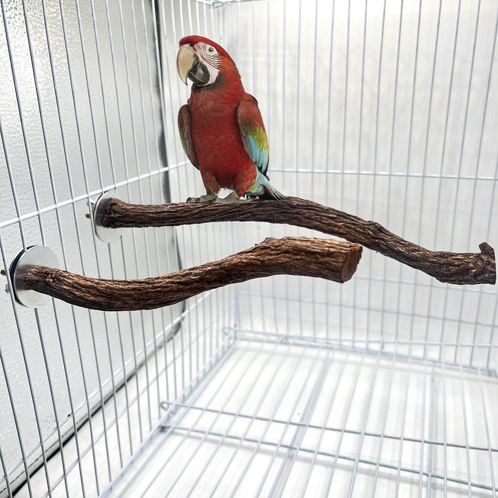 Nuevo producto transfronterizo poste de la estación de pájaros loro garras de molienda de madera natural soporte de la estación de pájaros juguetes para pájaros accesorios de jaula de pájaros al por mayor