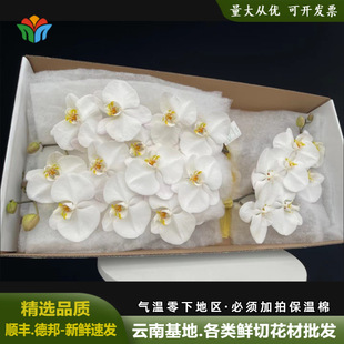 ��ɫ�����m�r�����l����ֱ���m����c�Ƶ��b���V3���A���л�