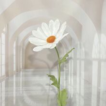 �r�ջ�c�������漈ˇ�������b�Y������������̈�