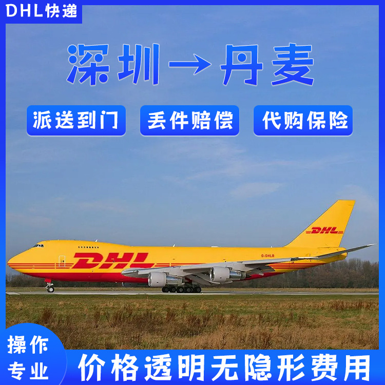 笔记本电池锂电池深圳DHL快递邮寄到丹麦双清到门DDU欧洲专线