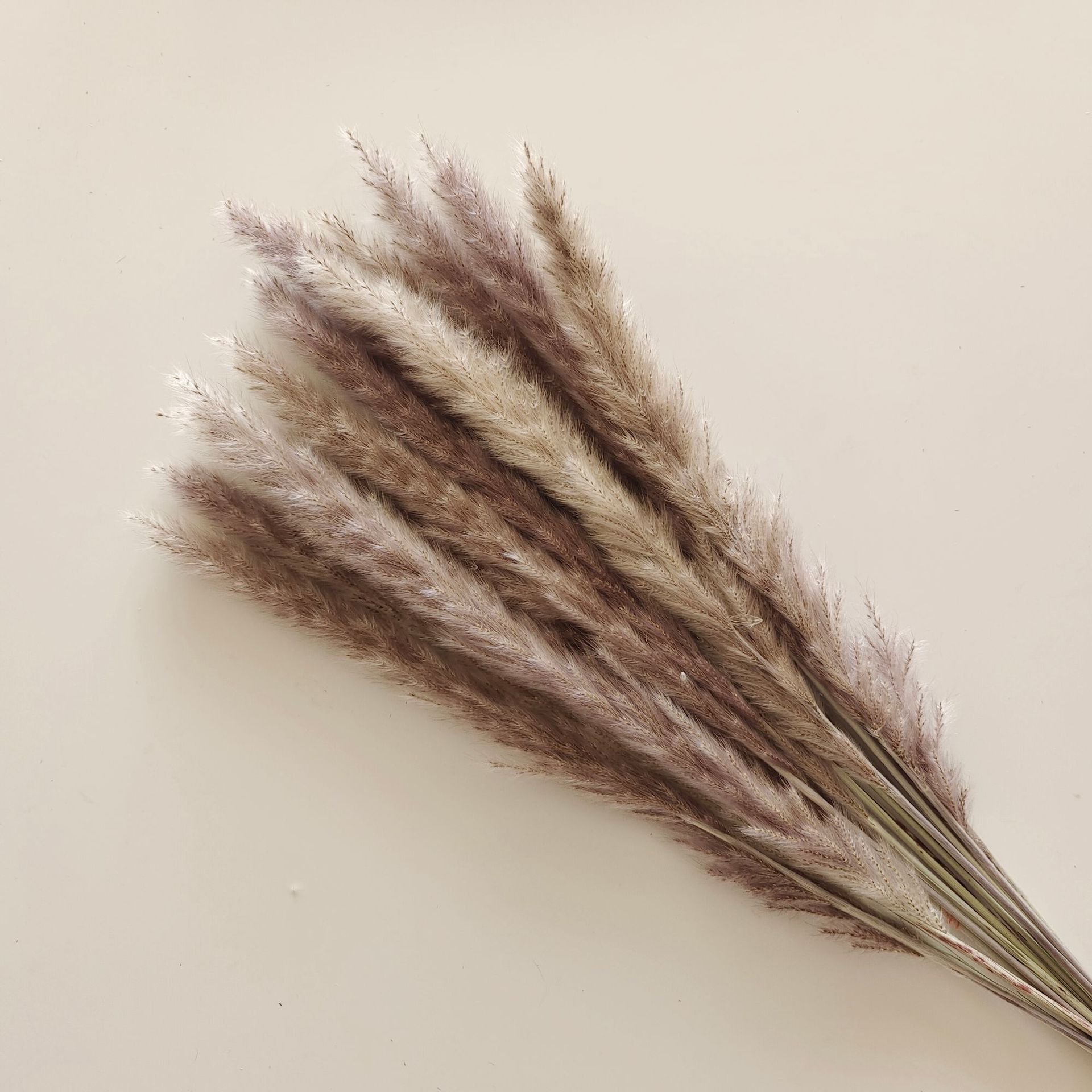 오리지널 컬러 스틱 15개