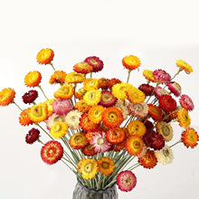 �߲ʾոɻ�����������������DIY���ϼҾ��b[��