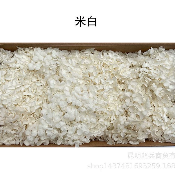 [Вечная Life Flower Hydrangea] Анна Градиентный цвет Лист Hydramid Книга цветов оптом DIY цветочная коробка материал для просмотра
