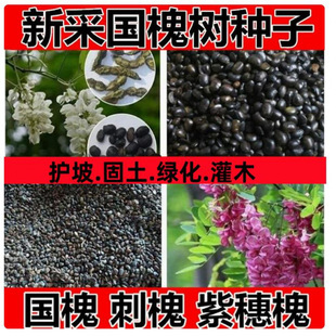 �²ɇ����N������������N���S�����t�����̻��N�����뻱�̻�����
