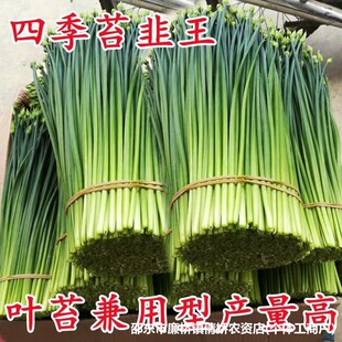 ̦�²˷N�Ѵ�ȫ��̦�����²�̦�����߲˷N��ԭ�b�N�Ӵ�ȫ���l���l