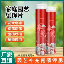 清洁球/刷;厨房小工具;衣钩/挂钩