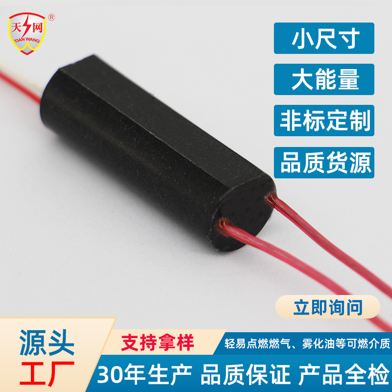 TW-1903 accesorios de equipos de seguridad pequeño encendedor Paquete de alta tensión de tamaño pequeño generador de alta tensión Módulo de alta tensión