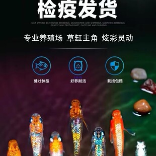 �^�����F��ˮ�^�p�~ħ���~��ˮ�~С�\�����������Ӝػ��w������]