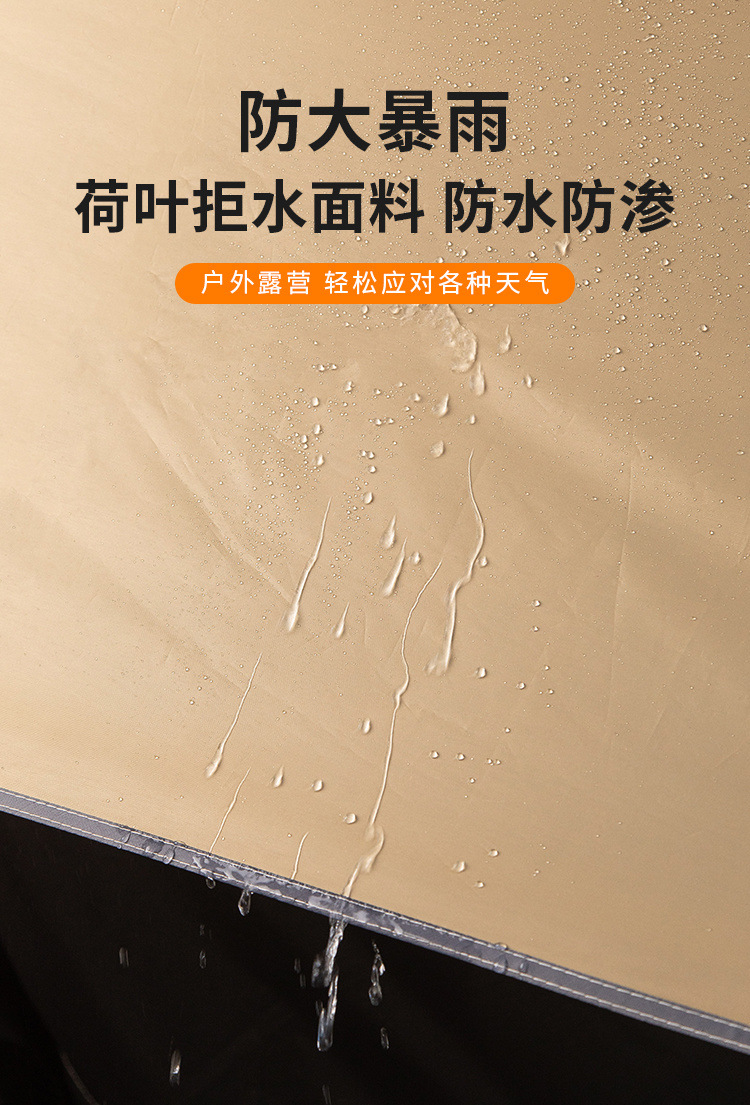 f9778589-b165-4b2f-842b-6ac6beb3ce06.jpe