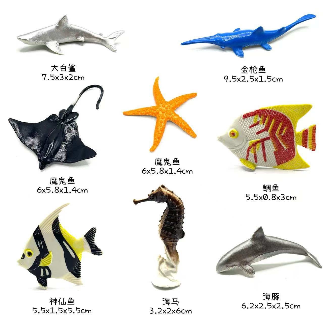 Marine animals (Seahorse group)