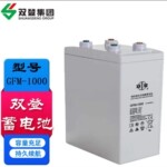 双登蓄电池2V1000Ah GFM-1000通信基站船用储能质保三年厂家直发