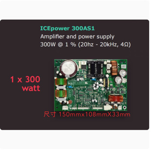 Original Denmark Icepower 300as1 Amplifier Module Hifi Board Mono Amplifier Board