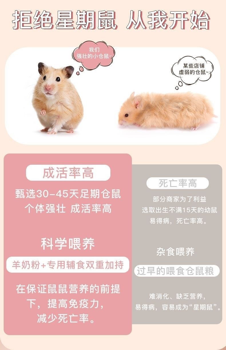 2ff22e3f-7d82-41d2-a2de-8cb9ddcd62d9.jpe