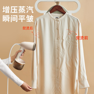 Manufacturer Handheld Garment Ironing Machine Household Large Steam Portable Electric Iron Customized Small Ironing Clothes Artifact Iron