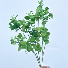 �羳���W�߷���Gɫֲ�ﱡ���~�廨�~�ӿ͏d�[���b͏d�zӰ