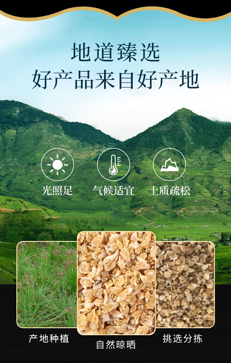 Xie Bai (Allium macrostemon) — Dried Food-Herb Bulb, Also Known as Xiao Gen Suan overview