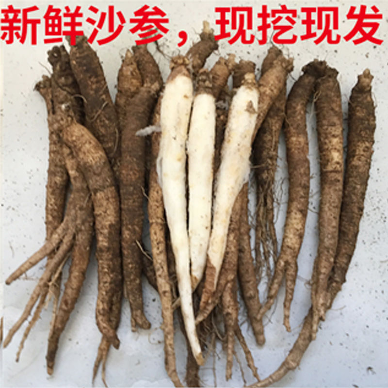 新鲜东北沙参批发南沙参去皮山胡萝卜山地瓜白马沙生炖汤500g