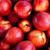 Sichuan Province Meishan Nectarine Peach Petroleum No. 4 Nectarine fresh fruit One piece On behalf of