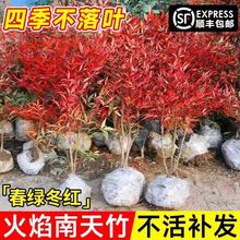 ���������Կ͏d������҃���ͥԺ�����辰�ͺ����ܾGֲ������ȩ